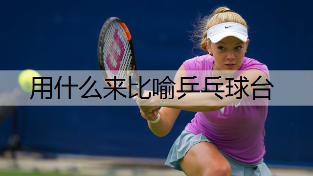 用什么来比喻乒乓球台