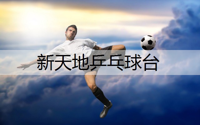 新天地乒乓球台