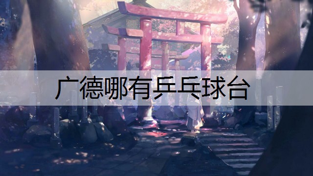 广德哪有乒乓球台