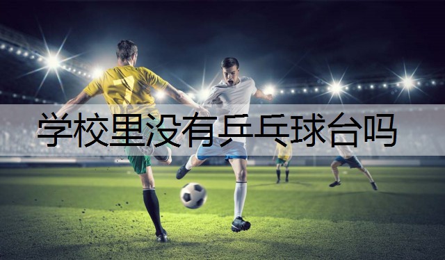 学校里没有乒乓球台吗
