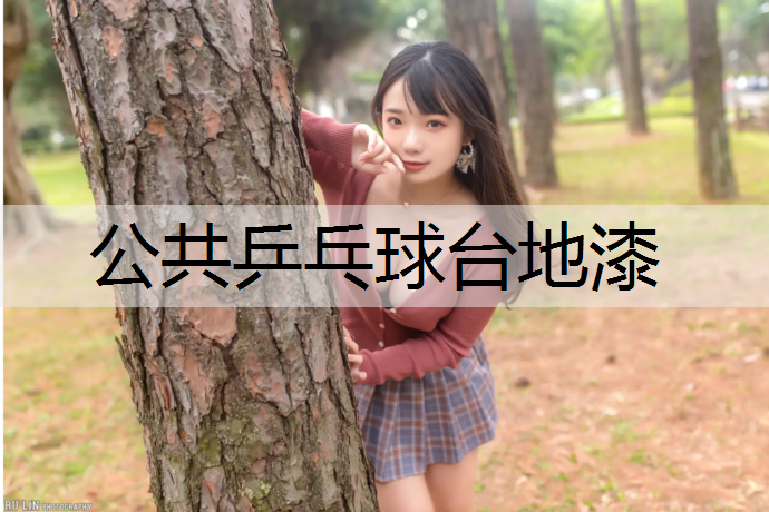 公共乒乓球台地漆