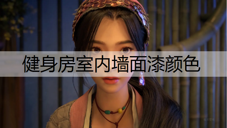 健身房室内墙面漆颜色