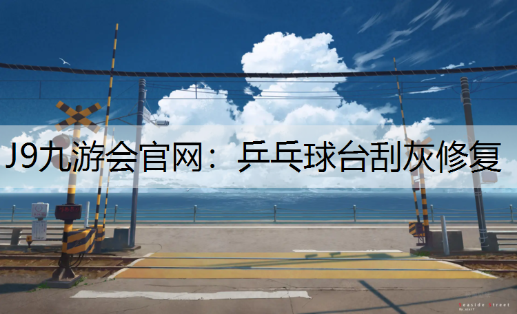 J9九游会官网：乒乓球台刮灰修复
