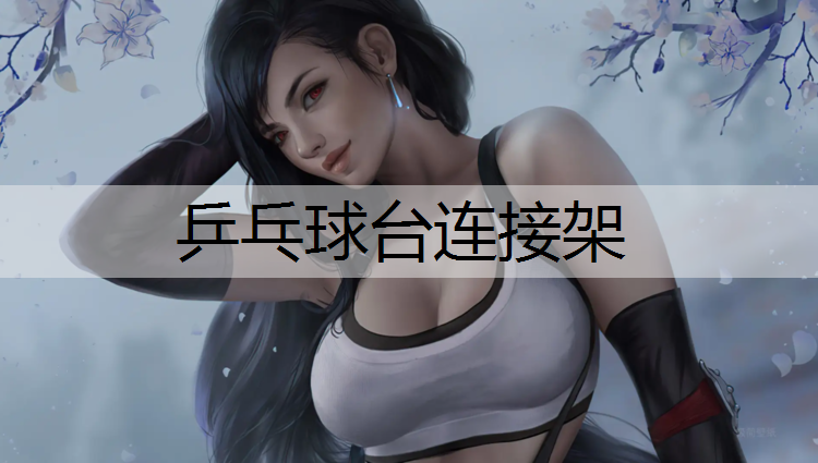 乒乓球台连接架