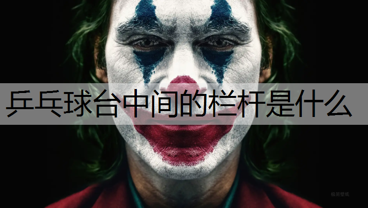 乒乓球台中间的栏杆是什么