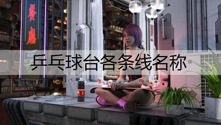 乒乓球台各条线名称