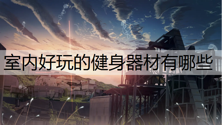 室内好玩的健身器材有哪些