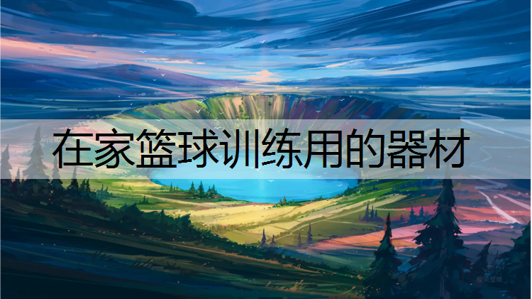 在家篮球训练用的器材