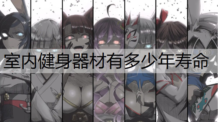 室内健身器材有多少年寿命