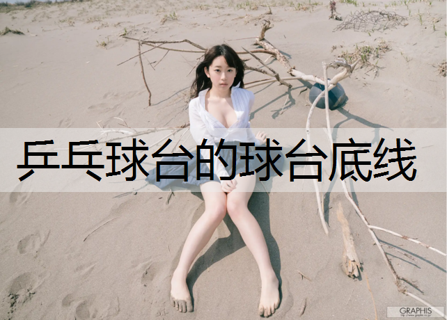 乒乓球台的球台底线