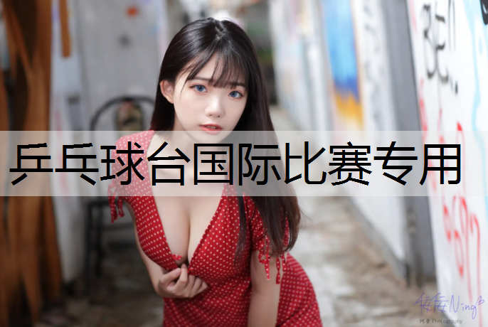 乒乓球台国际比赛专用