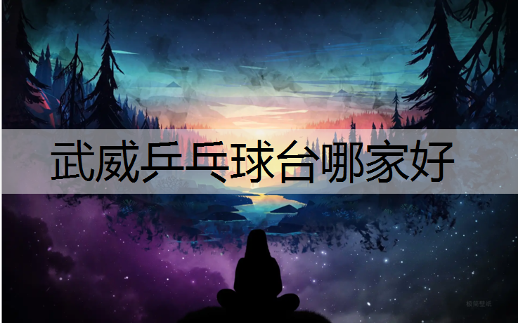 武威乒乓球台哪家好