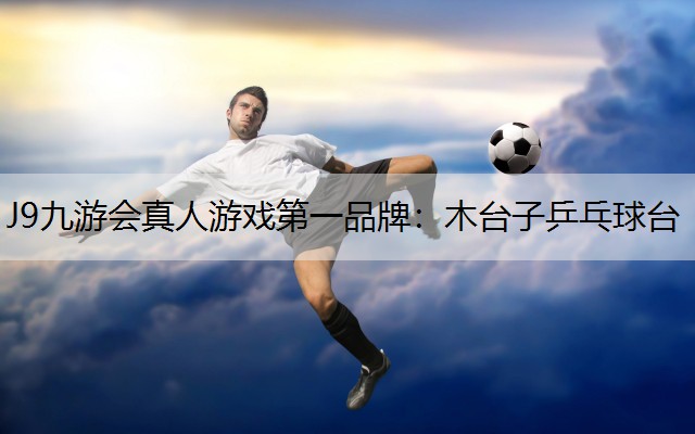 木台子乒乓球台