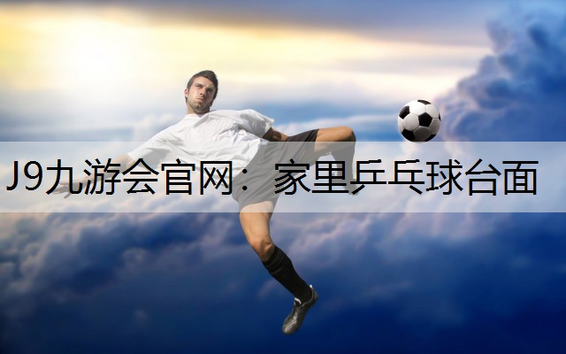 家里乒乓球台面