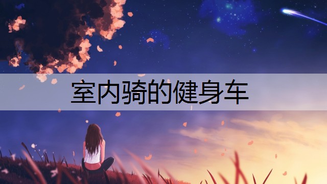室内骑的健身车