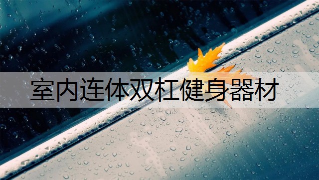 室内连体双杠健身器材 室内连体双杠健身器材