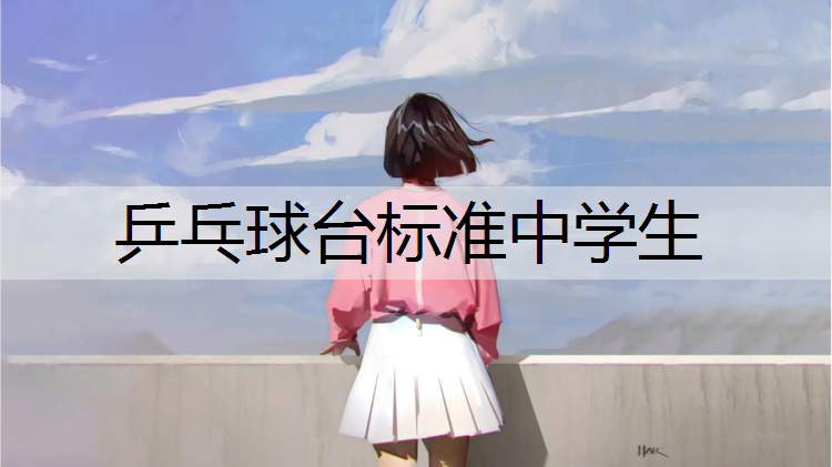 乒乓球台标准中学生