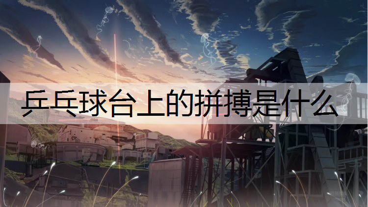 乒乓球台上的拼搏是什么