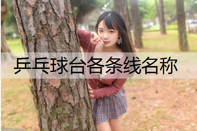 乒乓球台各条线名称