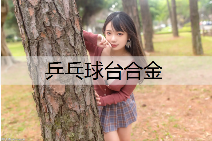 乒乓球台合金