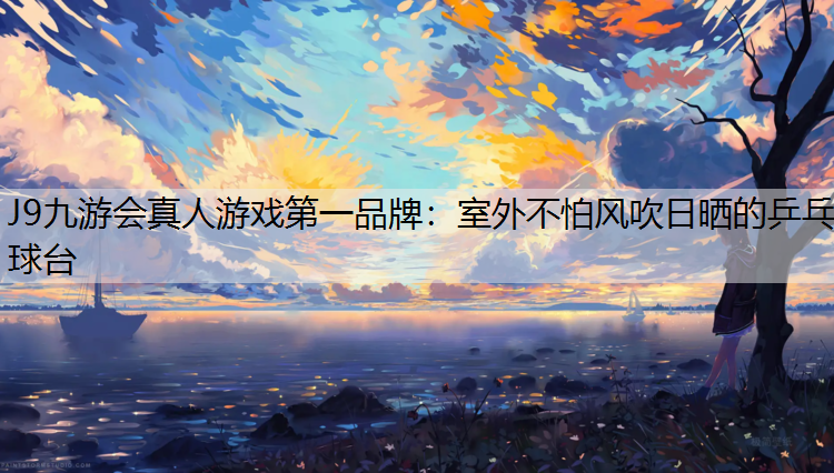 室外不怕风吹日晒的乒乓球台