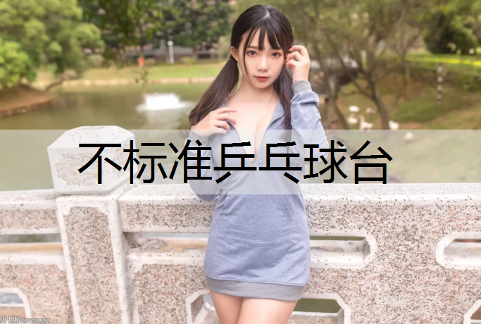 不标准乒乓球台