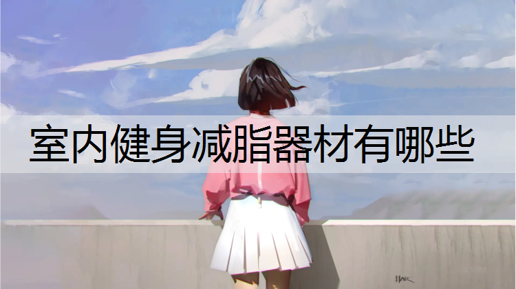 室内健身减脂器材有哪些