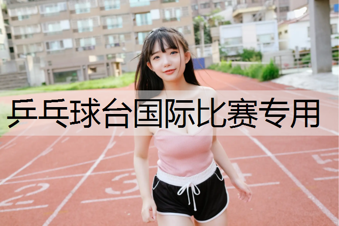 乒乓球台国际比赛专用