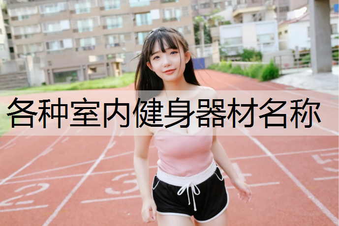 各种室内健身器材名称 各种室内健身器材名称