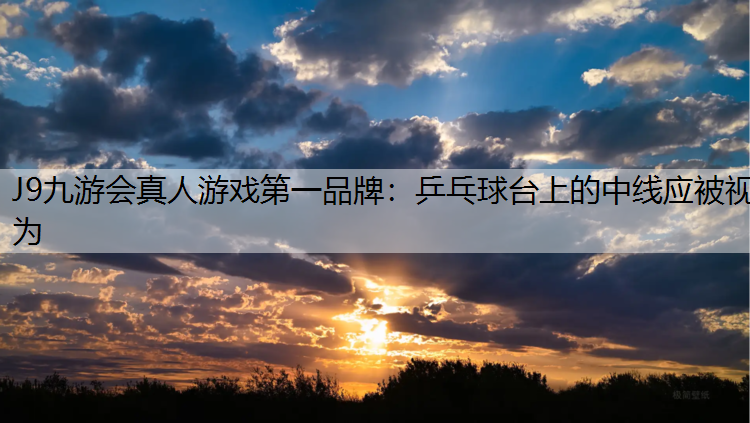 乒乓球台上的中线应被视为