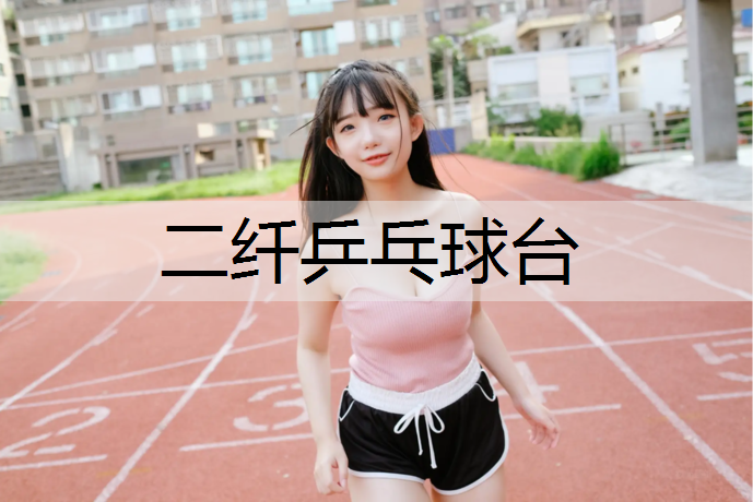 二纤乒乓球台