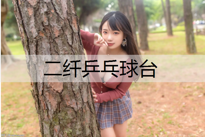 二纤乒乓球台
