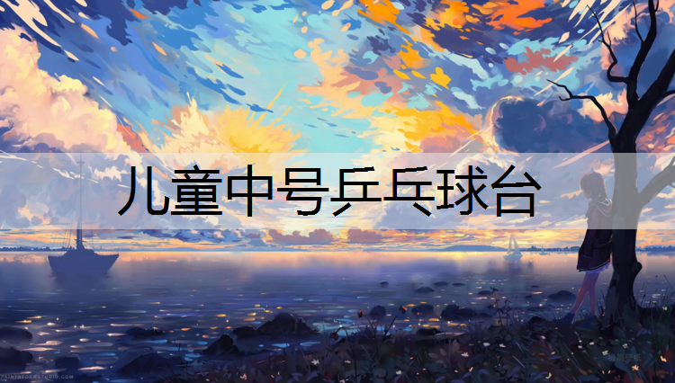 儿童中号乒乓球台