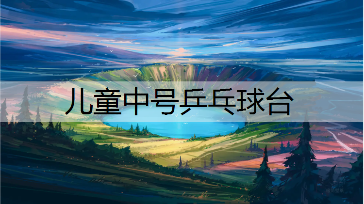 儿童中号乒乓球台