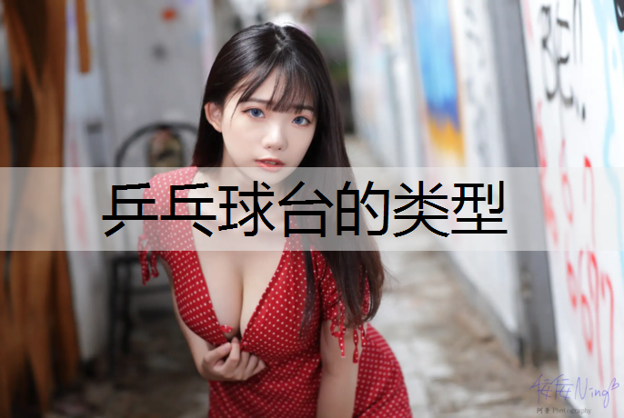乒乓球台的类型