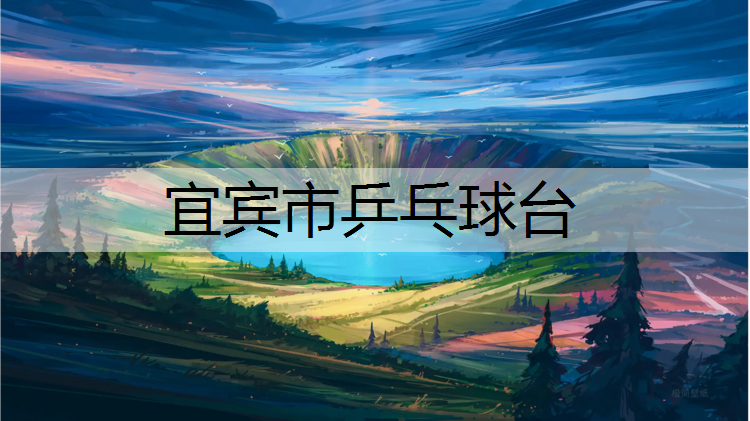 宜宾市乒乓球台