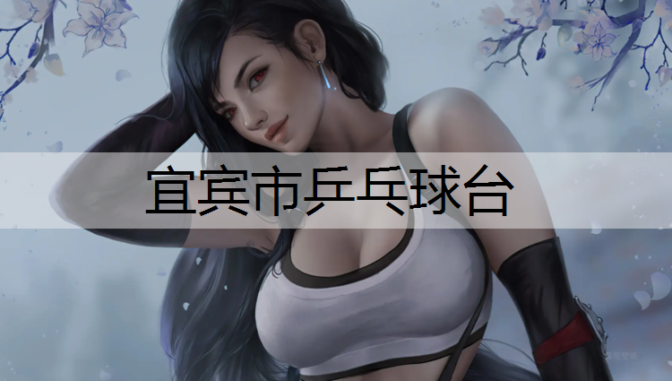 宜宾市乒乓球台
